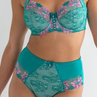 Pour Moi Sofia Lace Embroidered Deep Brief