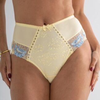 Pour Moi Sofia Lace Embroidered Deep Brief