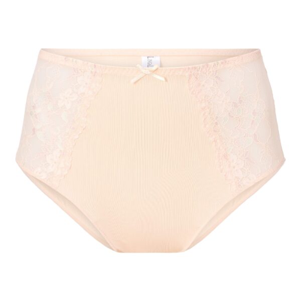 Lingadore Daily High Waist Brief 1400B-1 - Image 15