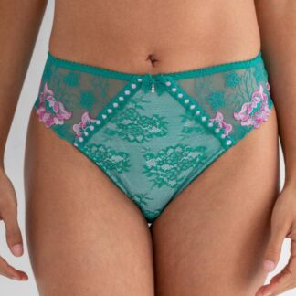 Pour Moi Sofia Lace Embroidered Bikini Brief