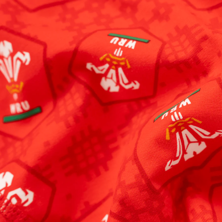 Oddballs Welsh Rugby Union Home 25 Mens Cotton Boxer Shorts - Image 5